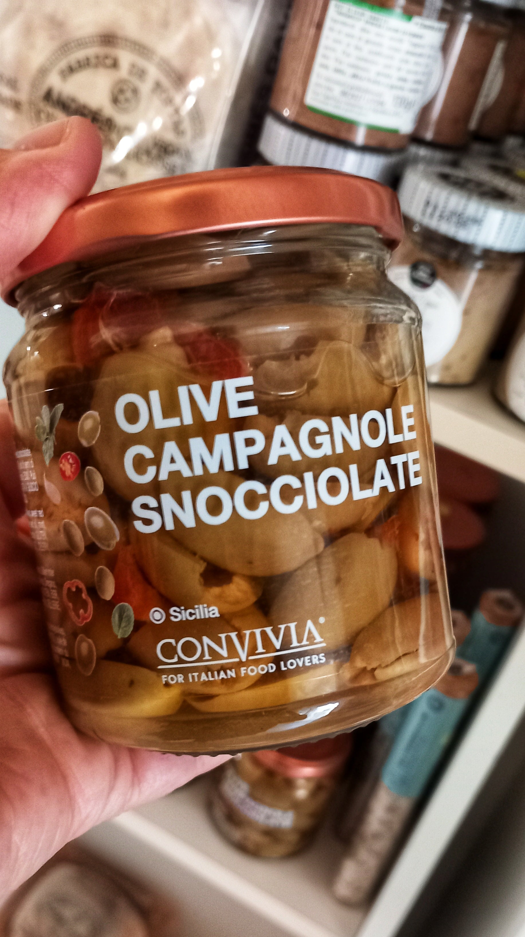 Olive Campagnole denocciolate Bio